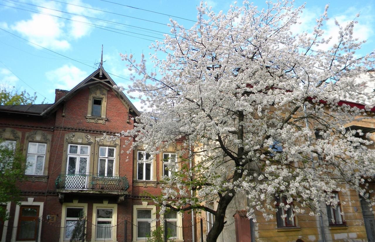 לבוב Studios At Anchevskih 3 מראה חיצוני תמונה