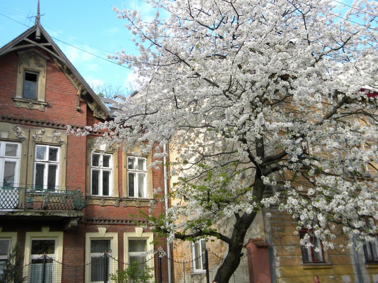 לבוב Studios At Anchevskih 3 מראה חיצוני תמונה